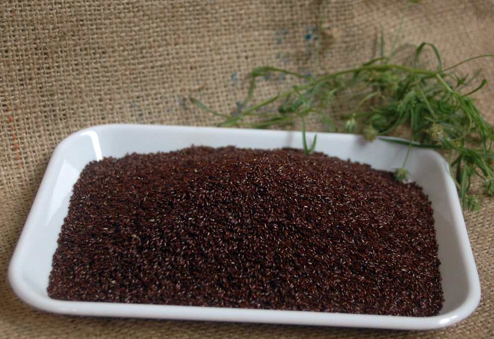 Naturix24 - Psyllium Noir semence 1 Kg