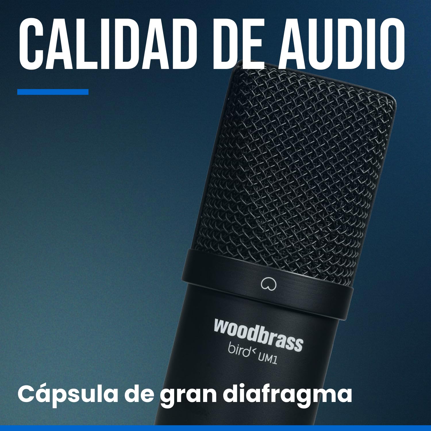 WOODBRASS Bird UM1 Podcast Pack Negro – Micrófono Cardioide USB con Condensador PC y Mac para Radiodifusión y Grabación, Streaming, Podcasting, Conferencia, Home Studio Mao, Voice Off