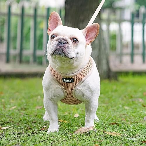 Miniatura 407 de Pupteck - Arnés para perro, chaleco de malla suave con relleno cómodo para cachorros, perros y gatos, evita los tirones, color negro y blanco