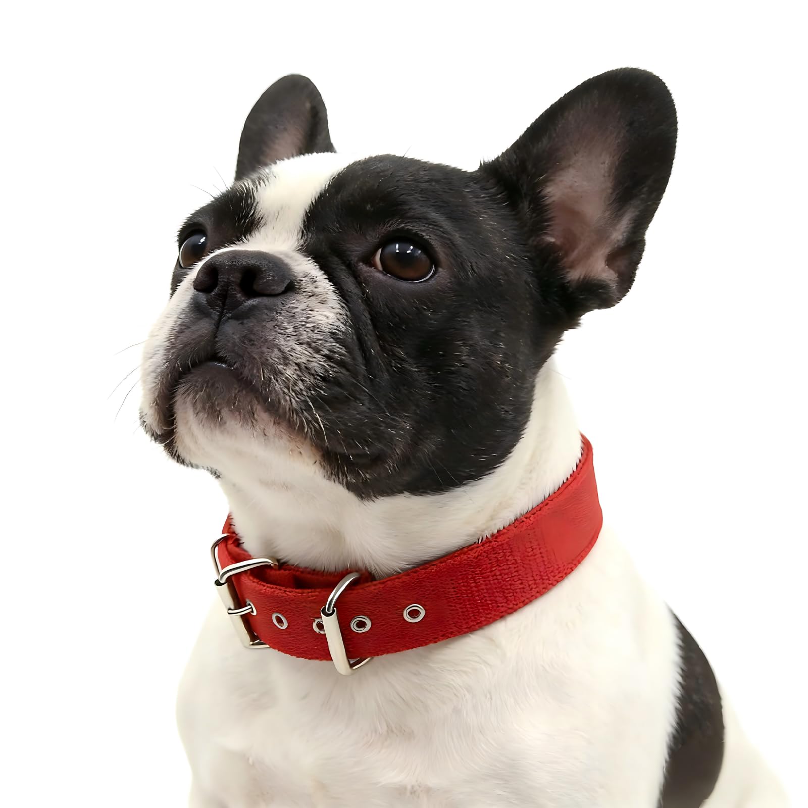 Photo 1 of Heavy-Duty Nylon Dog Collar, Break-Proof Durable Adjustable Pet Collar, Comfortable Anti-Pull Dog Collar for Outdoor Walking Training Daily Use(RED, Large)