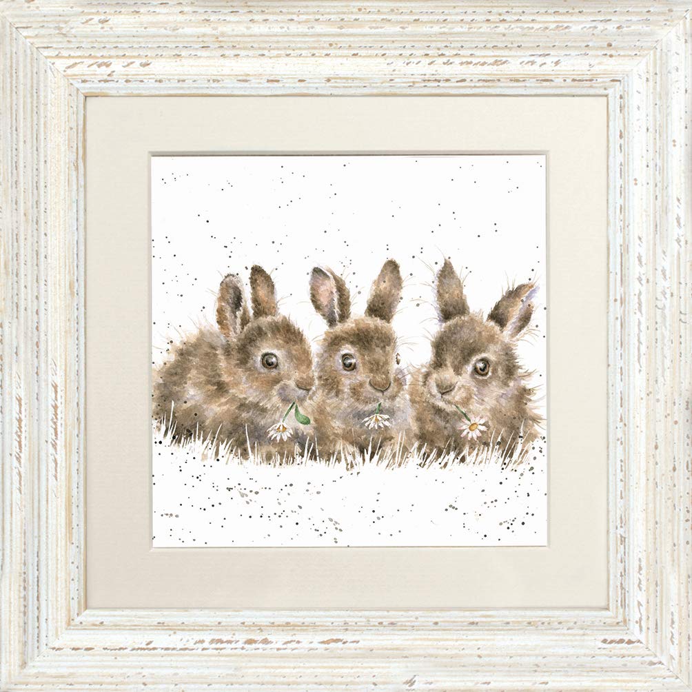Wrendale Framed Pictures White Wrendale Design"Daisy Chain" Rabbit Framed Picture In Various Frame Colours (White)