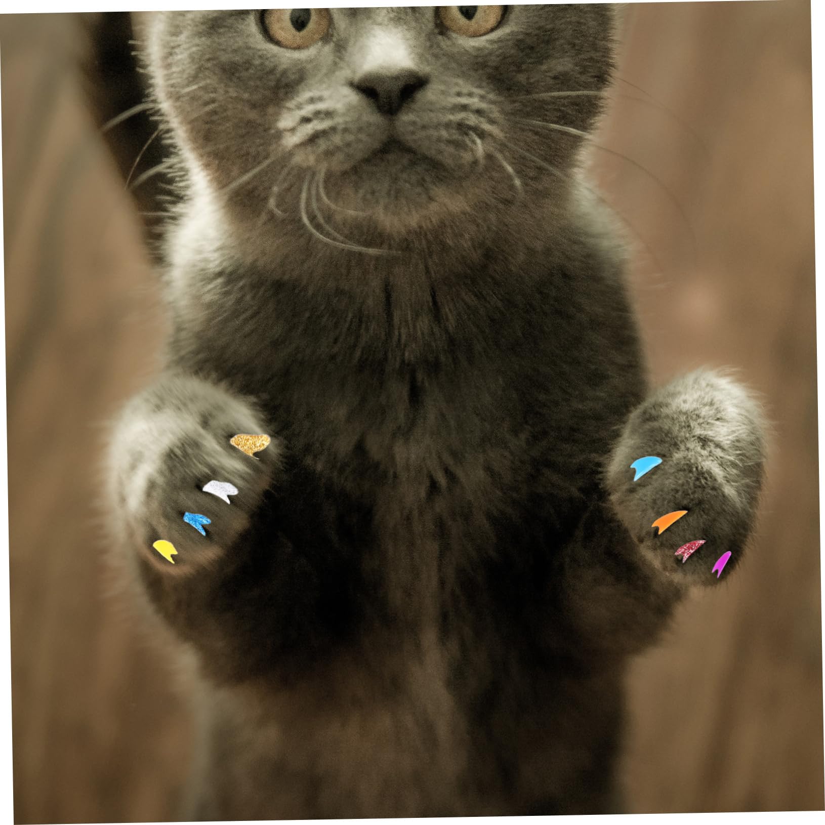 Toddmomy 480 Pcs Ensemble D'Ongles pour Animaux De Compagnie Protecteurs De Griffes De Chat Capuchons D'Ongles De Chaton Pattes De Chat Conseils D'Ongles De Chat Enveloppes D'Ongles Pattes