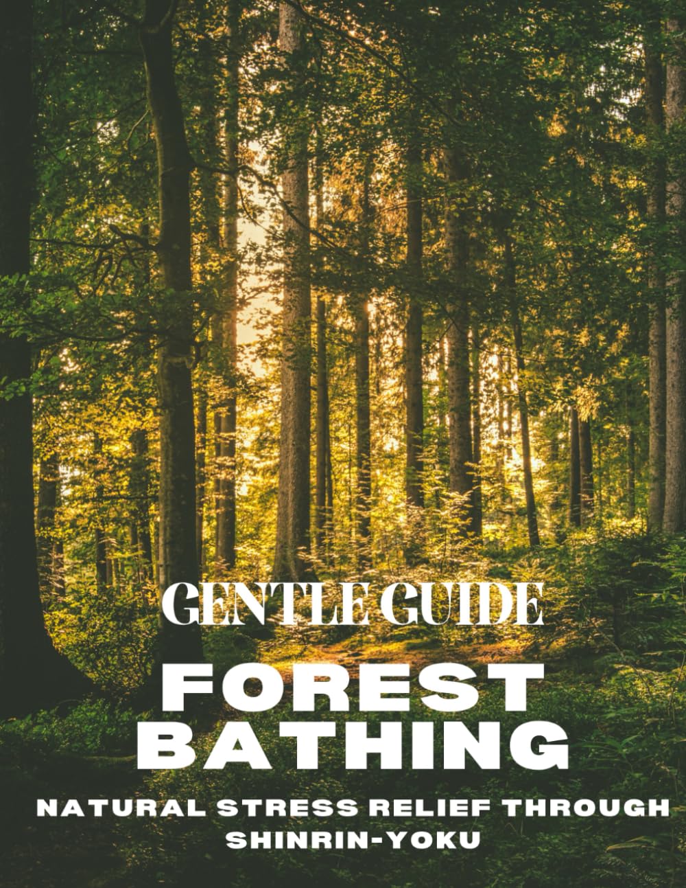 Gentle Forest Bathing Guide: Natural Stress Relief Through Shinrin-Yoku