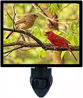 Night Light Designs Two Cardinals in Tree LED Night Light - Red Birds Photo, Fully Enclosed Safe Bulb, Replaceable Images