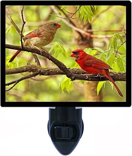 Night Light Designs Two Cardinals in Tree LED Night Light - Red Birds Photo, Fully Enclosed Safe Bulb, Replaceable Images