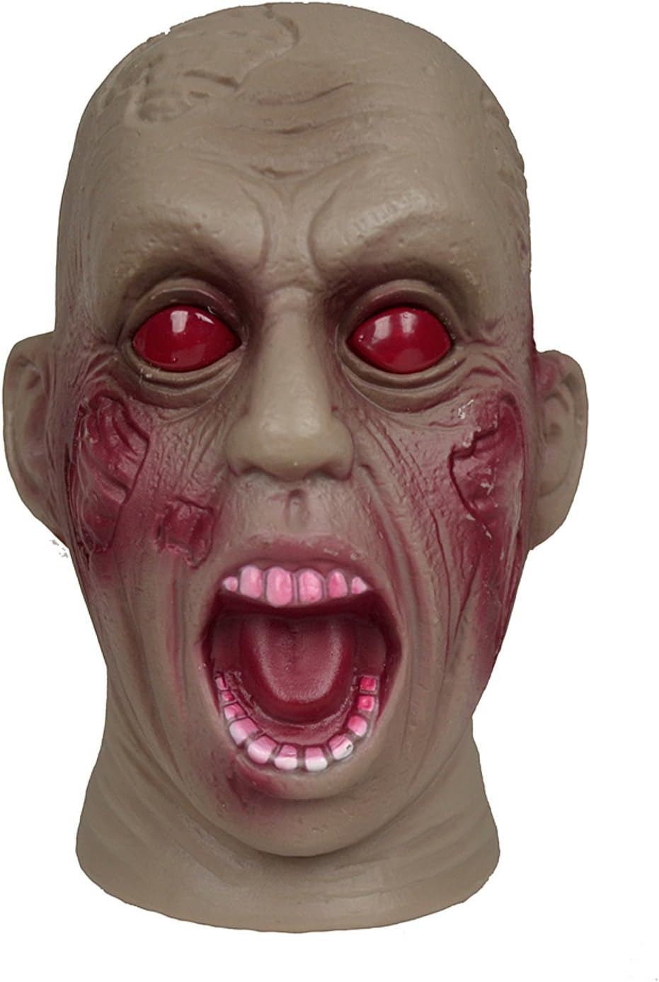 Animated Zombie Head, Assorted - Styles Vary
