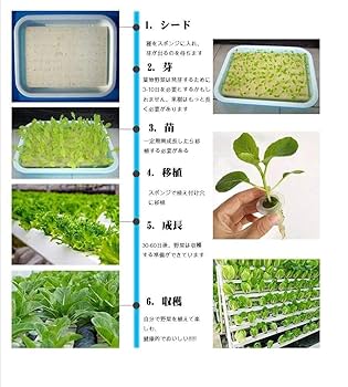 植物発芽 栽培 家庭菜園 農家 栄養素メーター 野菜 葉野菜 果物 Amazon.co.jp: ZIRAIFEN 野菜栽培セット 水耕栽培キット 室内用