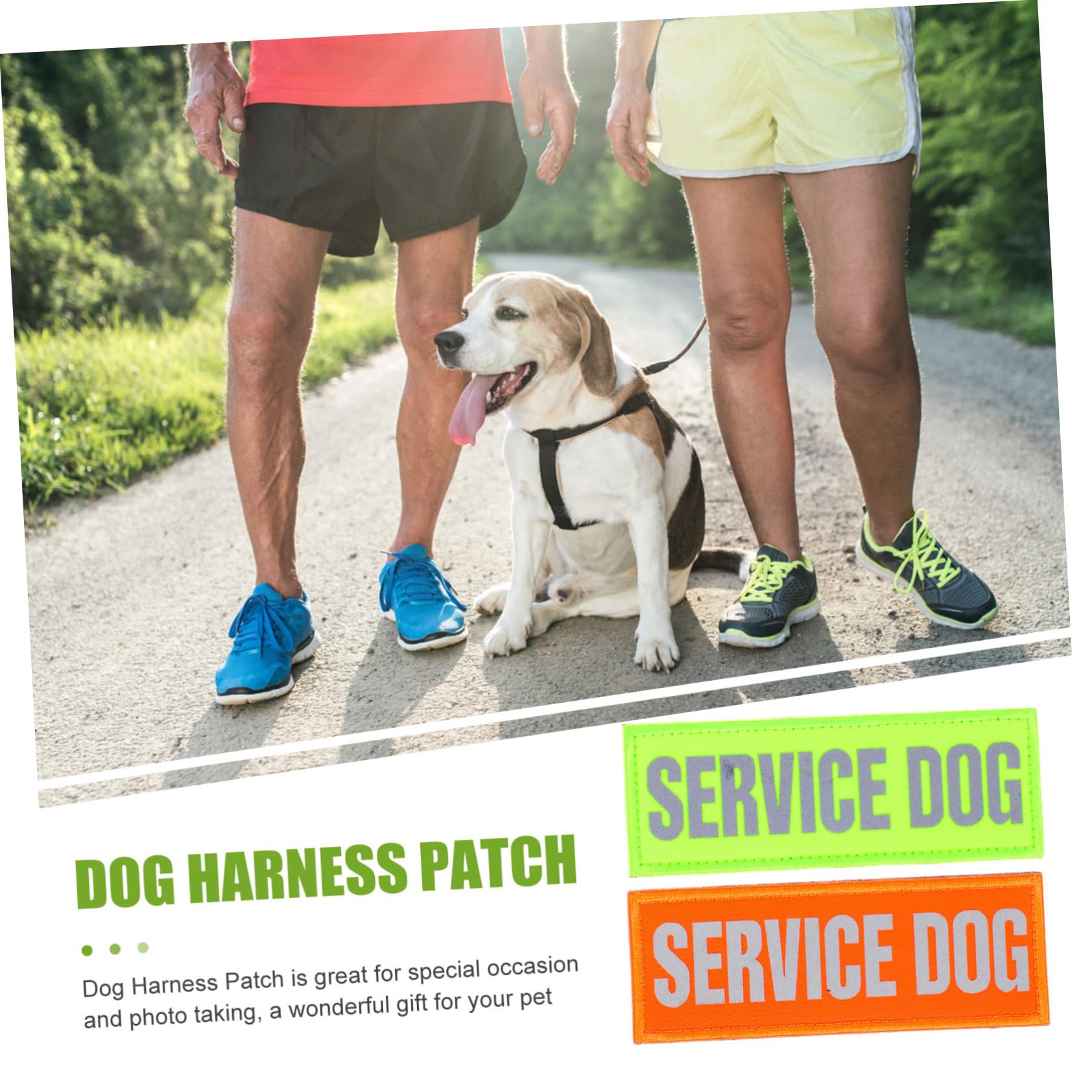 BESPORTBLE 16pezzi Pettorina Riflettente Per Cani Con Patches Adesivi Decorazioni Per Imbracature Per Cani Di Servizio Accessori Pratici e Sicuri Per Passeggiate Notturne