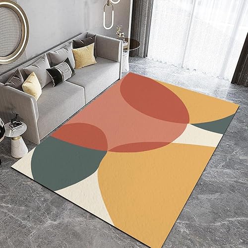 Alfombras coloridas retro de los años 70S, geométricas, lavables a máquina, para sala de estar, alfombras con respaldo antideslizante para