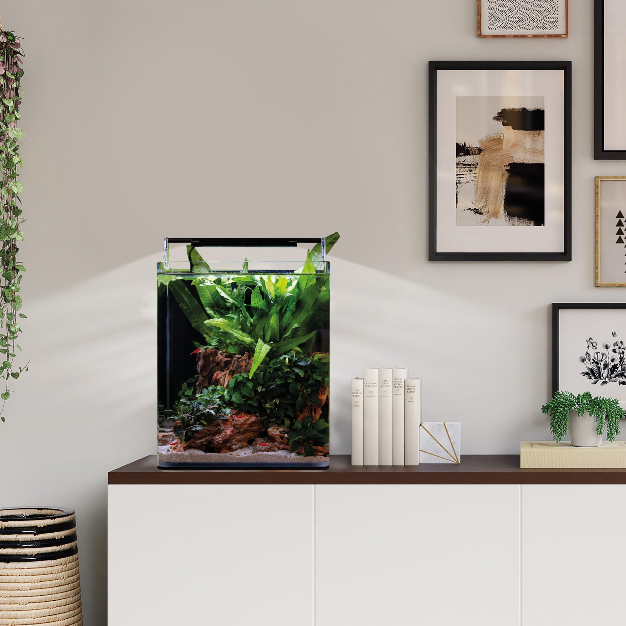 Dennerle Nano Cube Complete, 20 Liter
