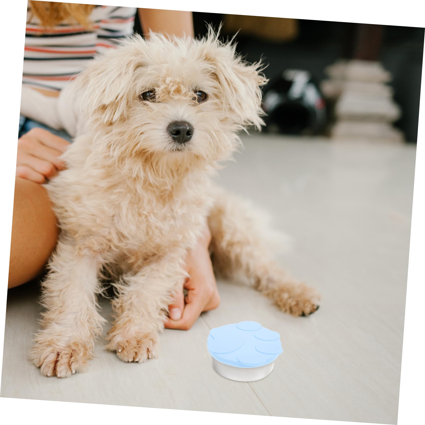 DOITOOL 1 Set Pet Can Lid Cat Food Cover Wear-resistant Food Spoon Cat Food Spoon Tableware Household