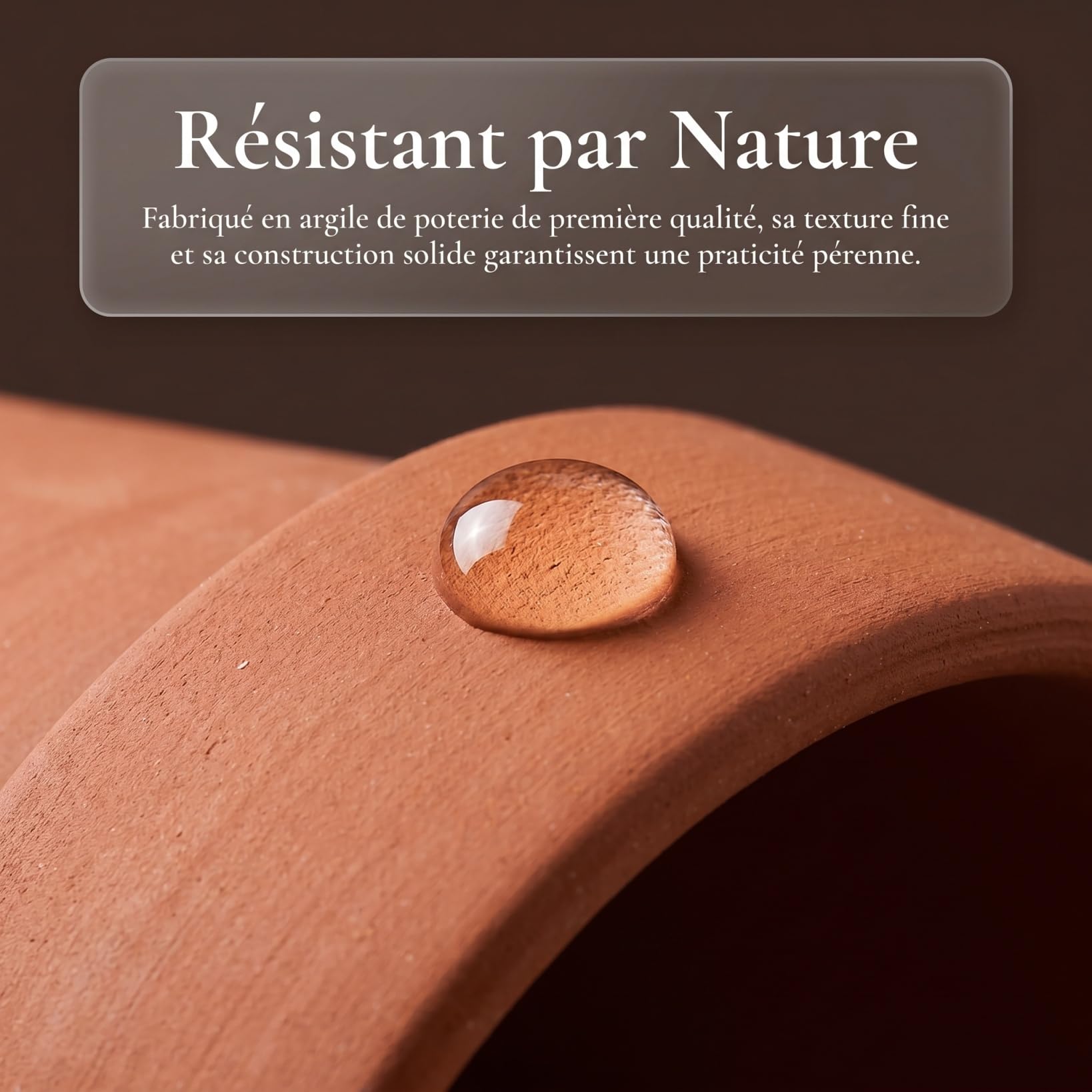ERINGOGO Cachette Reptile Matériau Naturel Plateforme de Baignade et Abri pour Tortues Lézards Décoration de Terrarium et Multifonctionnelle