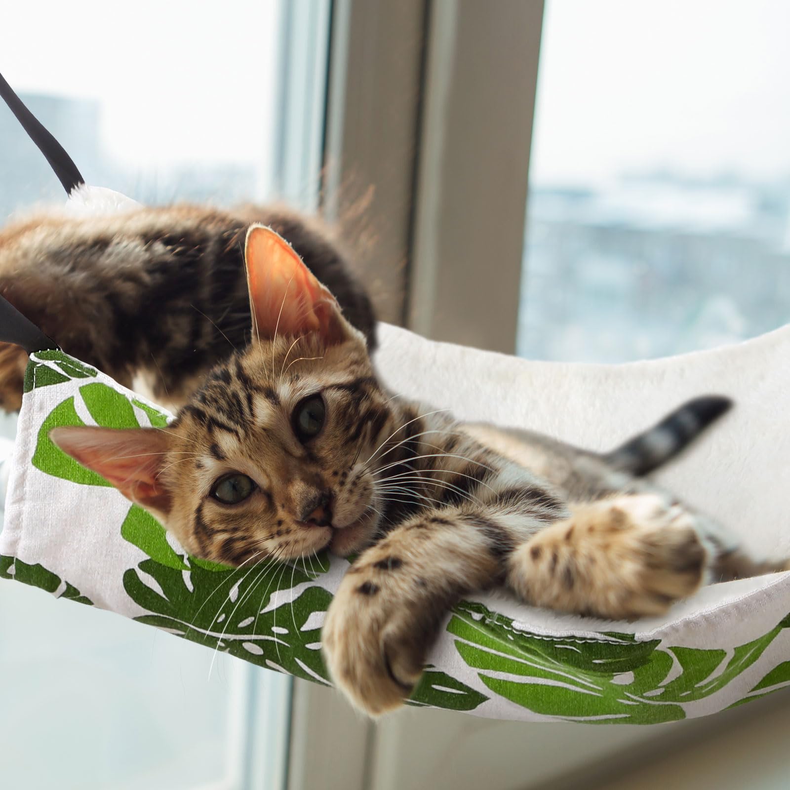 2 Pieces Reversible Cat Hanging Hammock Soft Breathable Pet Cage Hammock with Adjustable Straps and Metal Hooks Double Sided Hanging Bed for Small Dogs Rabbits(Monstera Leaf,L) 1