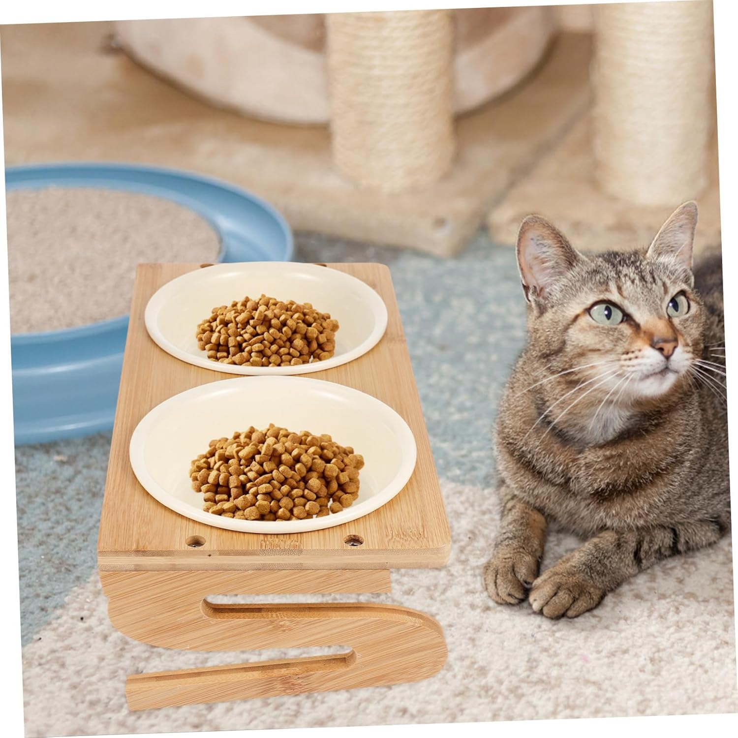 Ceramic Raised Cat Bowl Elevated Pet Feeding Bowl Extra Wide Kitten Wood Base for Cat Lovers