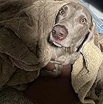 Review Image by Embers0820 Embers0820