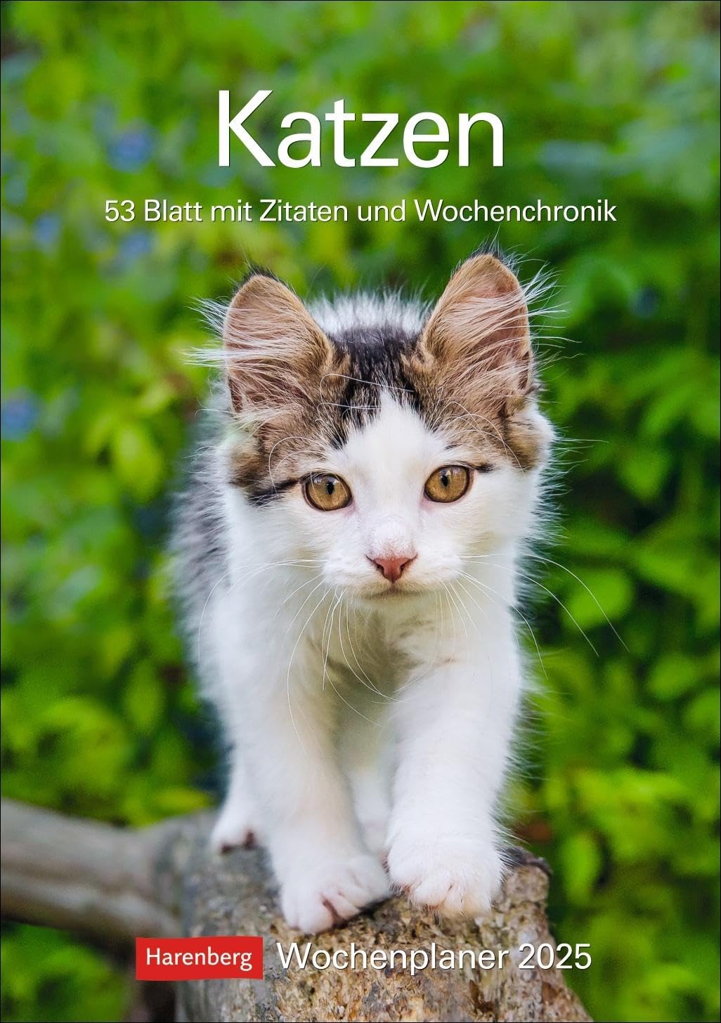 Katzen Wochenplaner 2025 Harenberg
