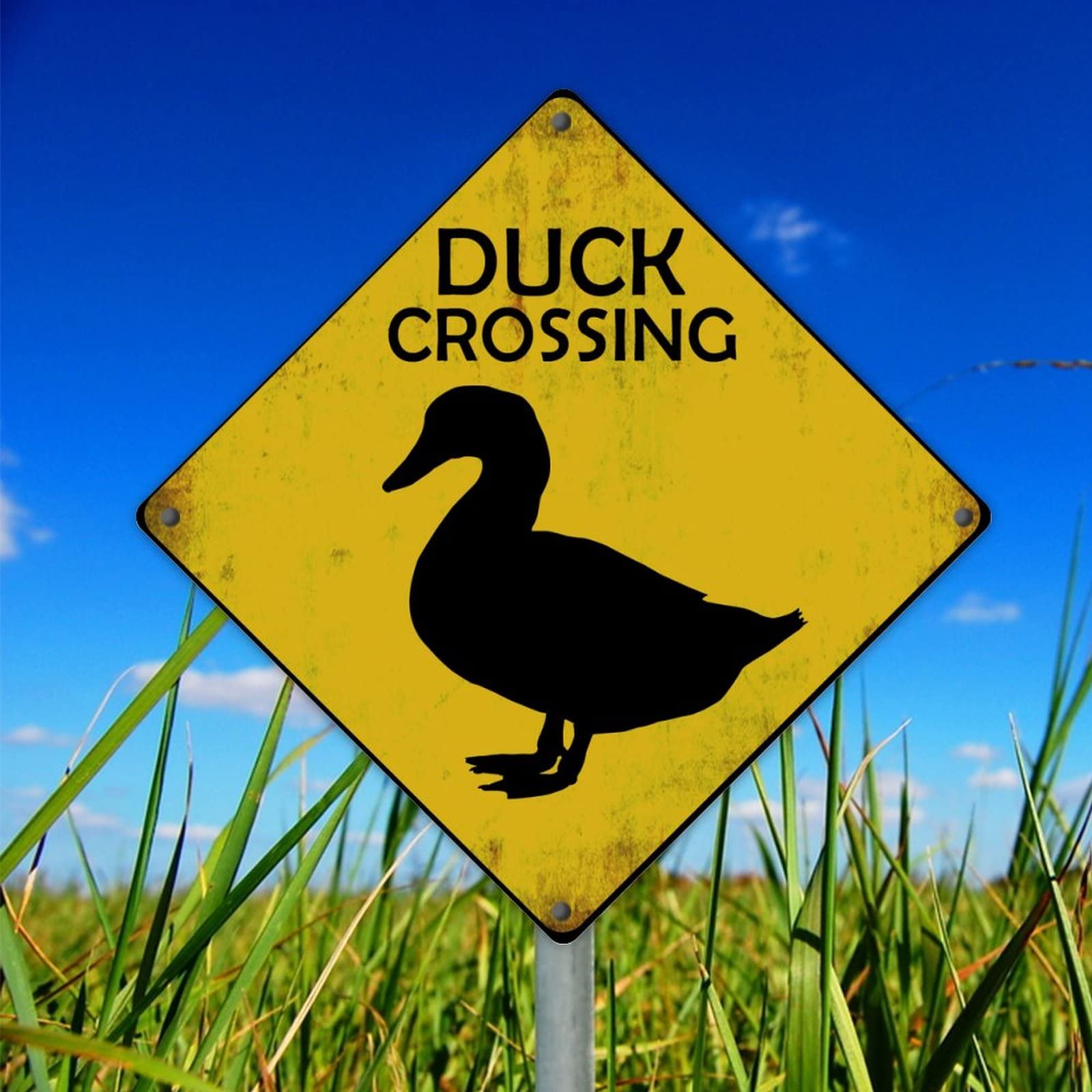 Duck Crossing Street Sign Crossing Ducks Road Sign Stock Photos Free