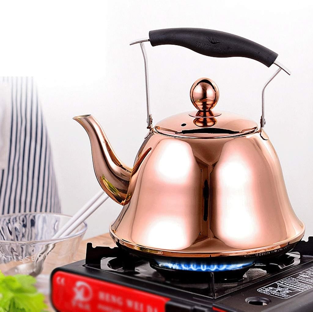 Stainless Steel Kettle Whistling Tea Kettle Coffee Kitchen Stovetop Induction for Home Kitchen Camping Picnic