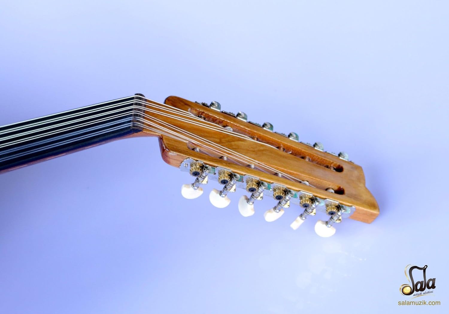 Arabic Professional Electric Oud Ud String Instrument ASOK-301G