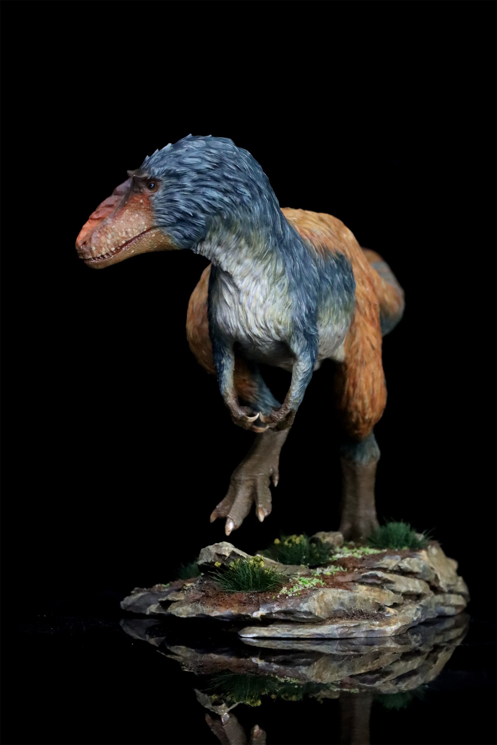 Amazon | BACALYSO | SHOWANNA 1/35 1/20 サイズ ユウティラヌス