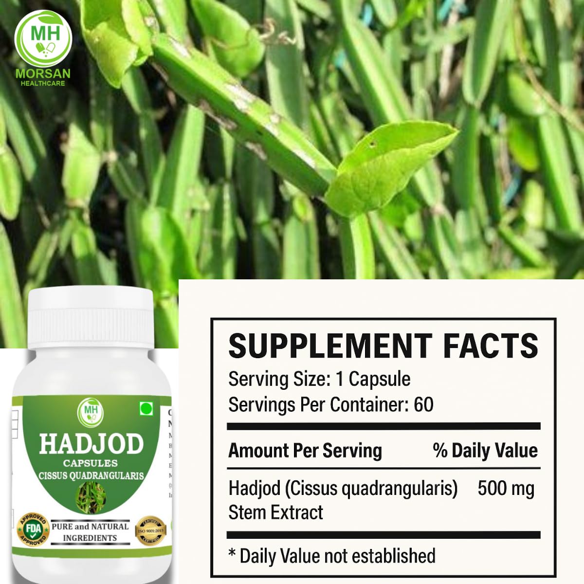 Hadjod Capsules 500mg – 60 Count | 4 Pack | Vegetarian | Plant-Based | Herbal Supplement | No Artificial Additives | Gluten-Free | Organic (pack of 1) — Amazon image 8