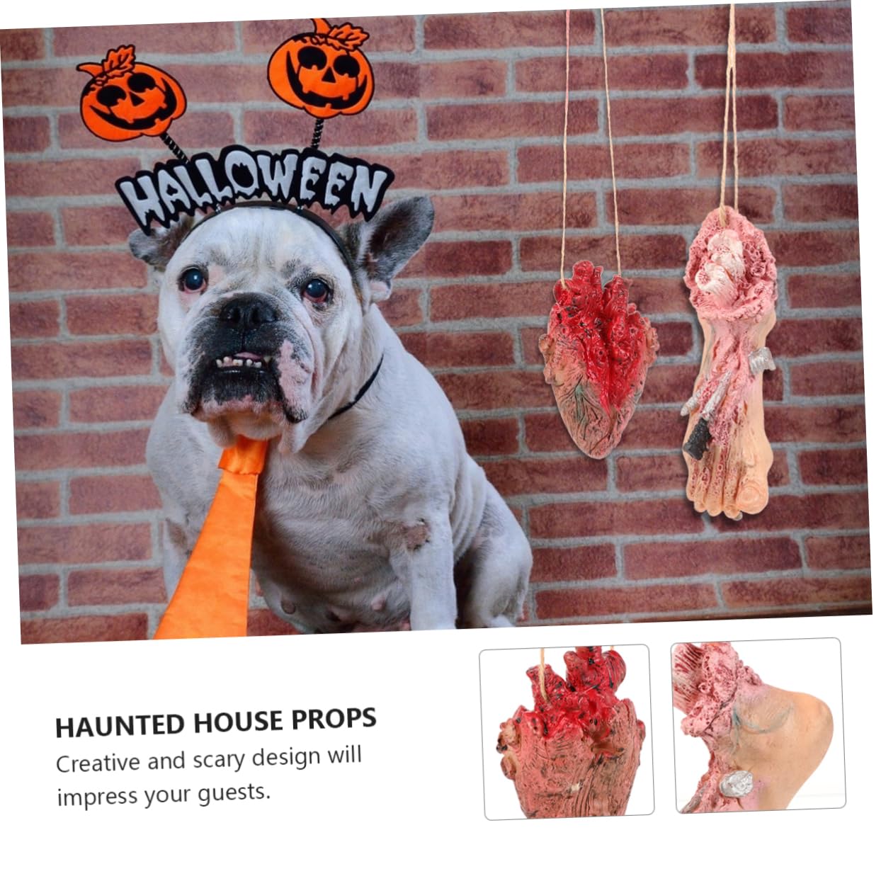 ibasenice 6stücke Halloween Deko Realistische Menschliche Organe Gruselige Hängedekoration Für Halloween-Partys Für Scherzartikel Und Dekorationsbedarf