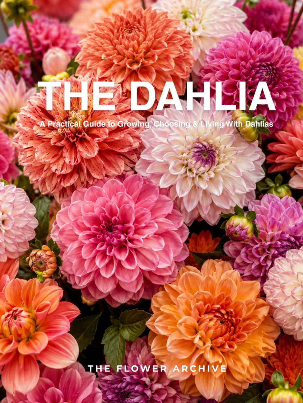 THE DAHLIA A Practical Guide to Growing, Choosing & Living With Dahlias: A Large Decorative Hardcover Coffee Table Book and Curated Flower Archive 200+ Dahlia Facts, Variety Profiles, and Insights