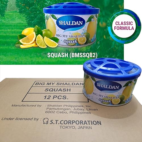 Miniatura 2 de Big My Shaldan - Ambientador de gel con aroma a squash, 24 latas (1 caja maestra) al por mayor, ambientador resistente y fuerte para coches grandes,
