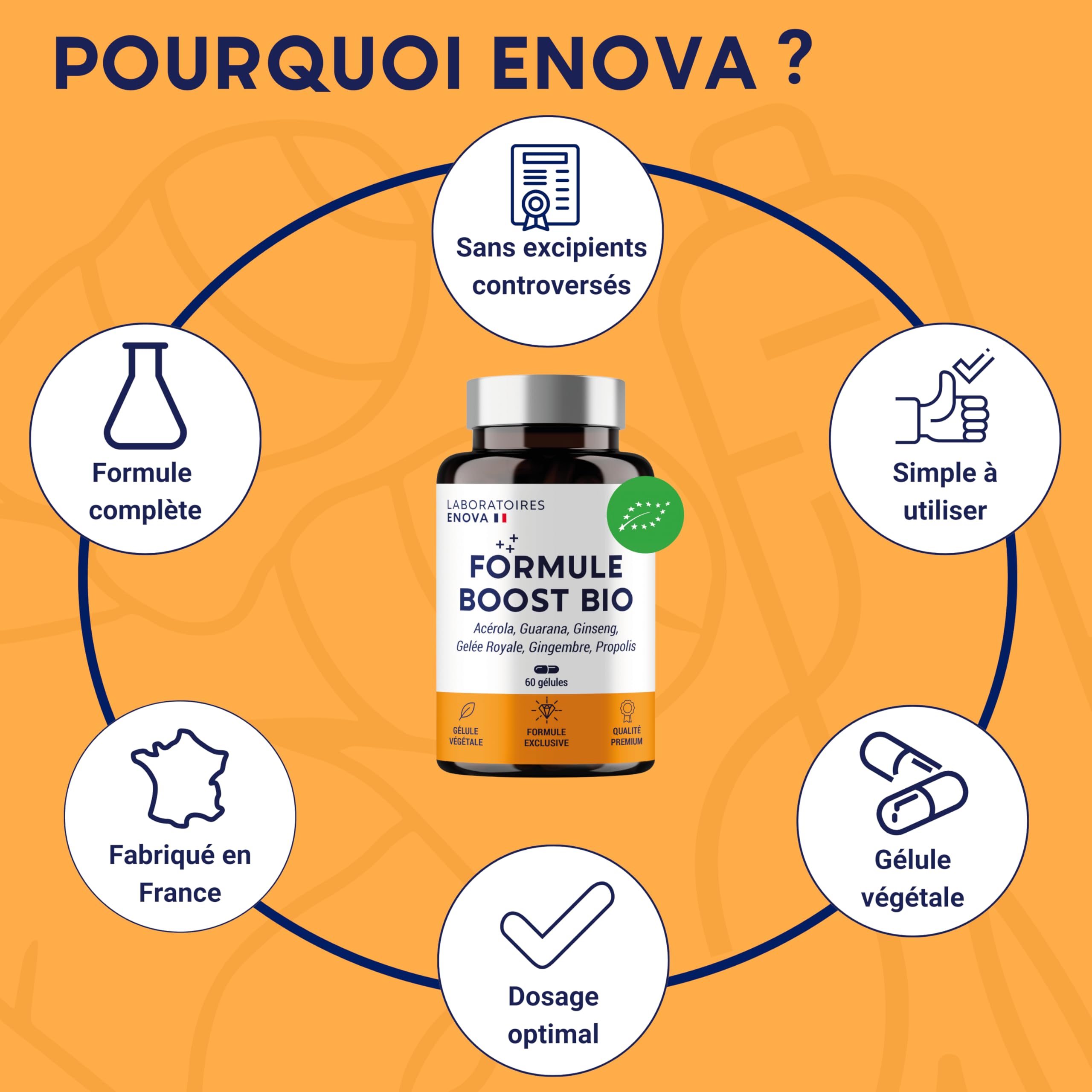 FORMULE BOOST BIO | 4G : Ginseng, Gelée royale, Guarana, Gingembre + Acérola | Complement Alimentaire Anti-Fatigue | Immunité et Energie | Fabriqué en France