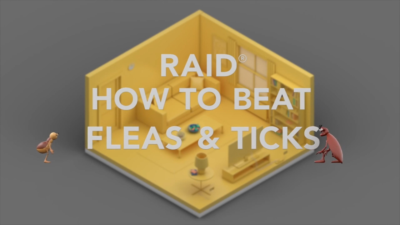 Raid Flea Killer, Kills Fleas, Crickets, Roaches, Silverfish and Ticks