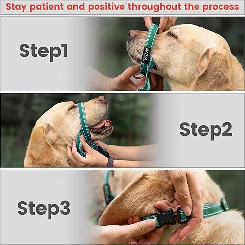 Miniatura 47 de ANDA Gentle Leader - Collar para cabeza de perro ultraligero sin tirones, correa de bozal ajustable transpirable que evita tirones y zancadas, Negro