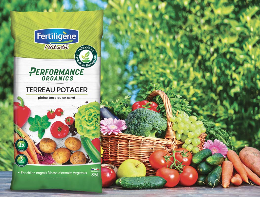 Fertiligene Terriccio Universale 6L: Il Piccolo Formato Per Le Tue Piante Di Casa