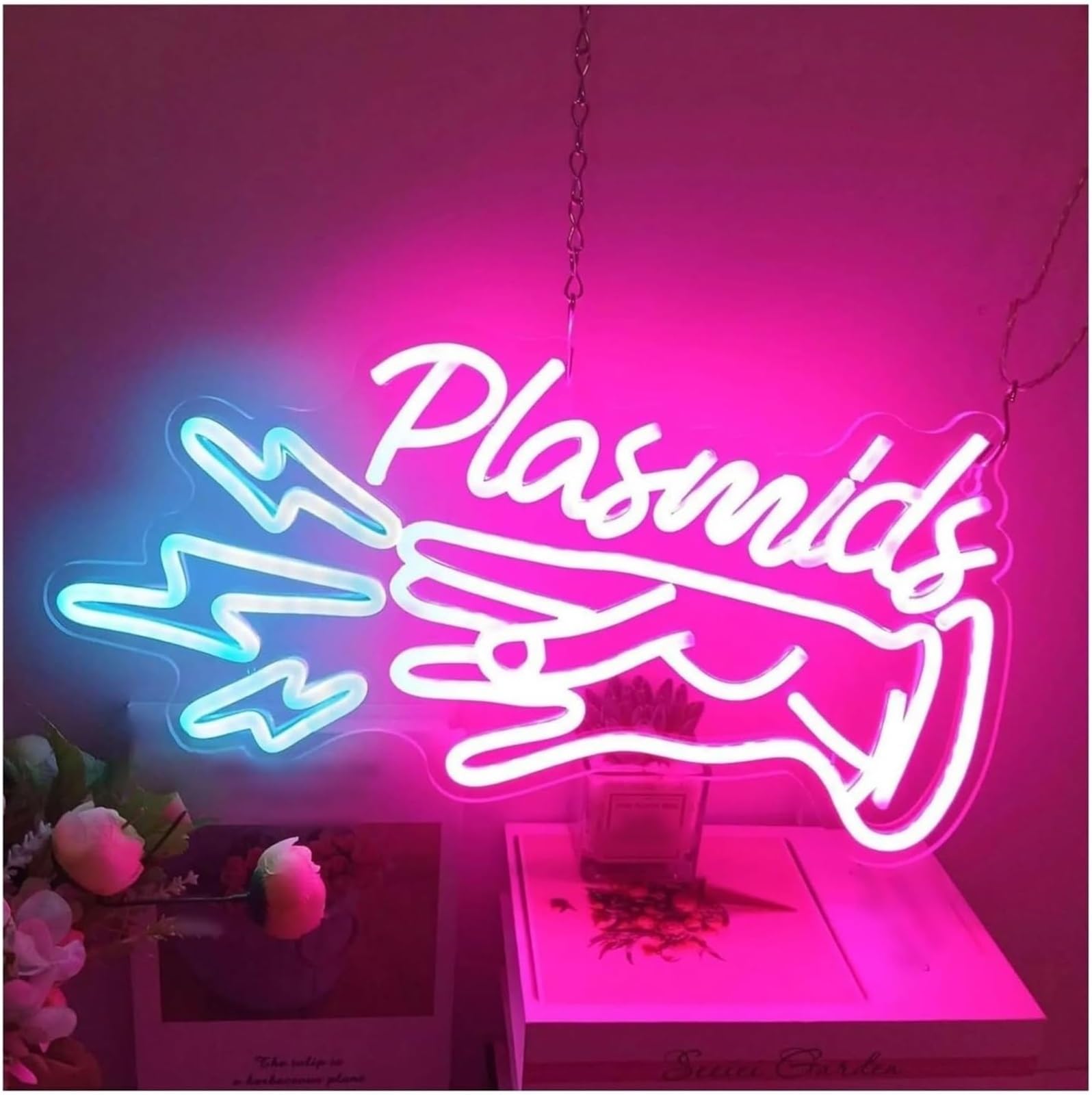 Wexxaii neon Light Sign for neon lamp loanword Plasmid for Sign Anime Game
