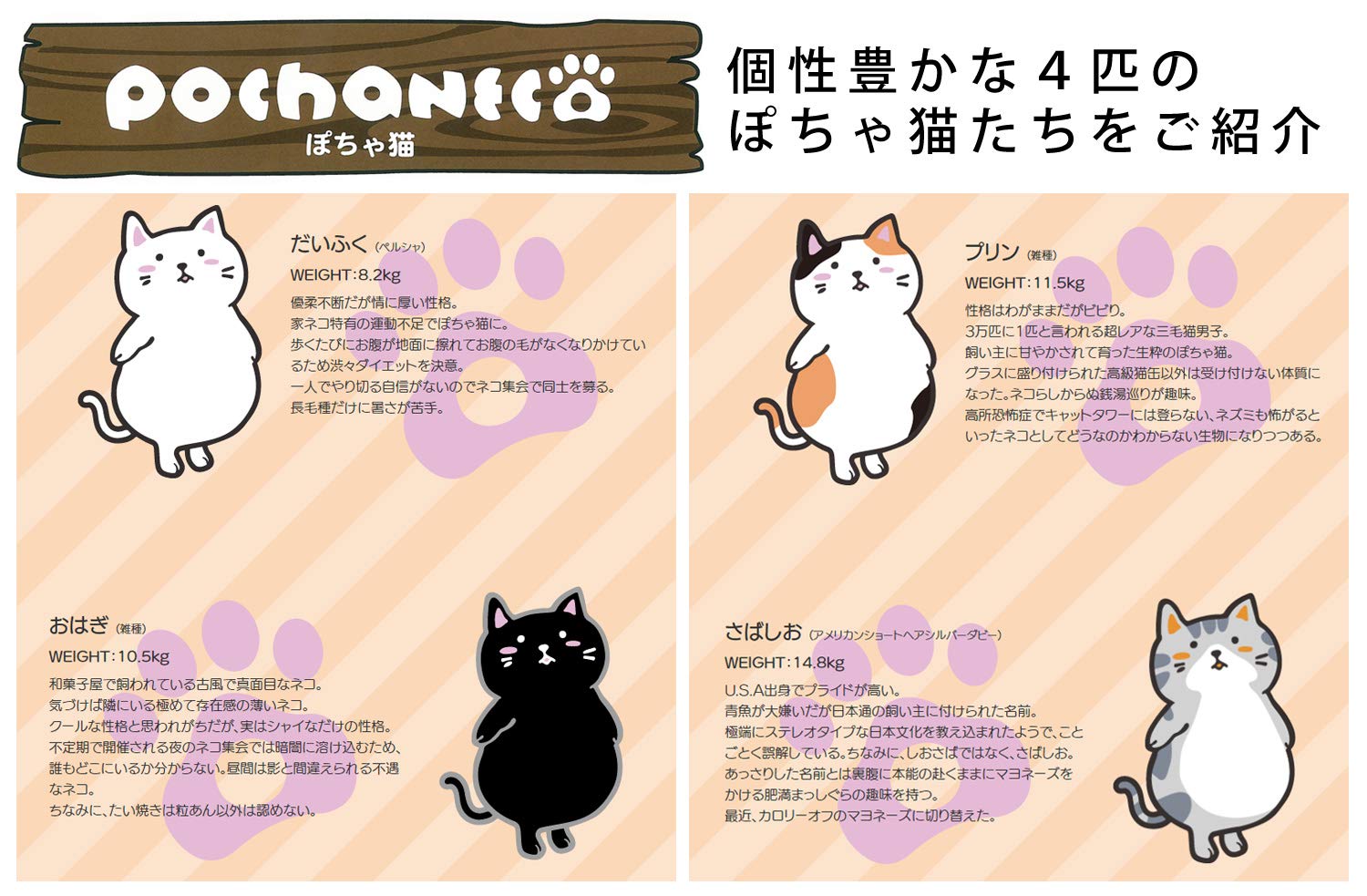 Amazon | ゴーセン(GOSEN) ぽちゃ猫 テニス・バドミントン用 ラケット