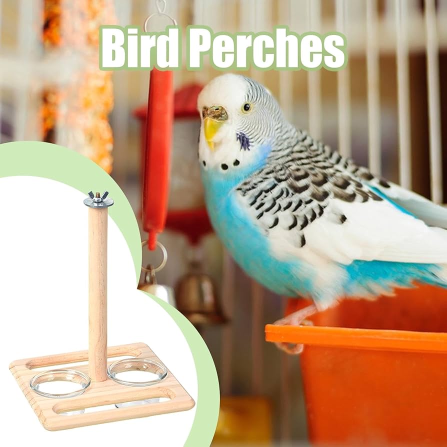 木製鳥用スタンド 餌入れ付き 約30cm*4 木製鳥用スタンド 餌入れ付き 約30cm*4 Amazon | ケージ用の