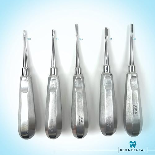 Miniatura 10 de DEXA DENTAL Elevators Instruments Osteotome Periotome Luxating Elevator Apical Molt Implante Oral, Extracción de Raíz quirúrgica - 3 piezas