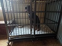 Review Image by Tammy K Tammy K