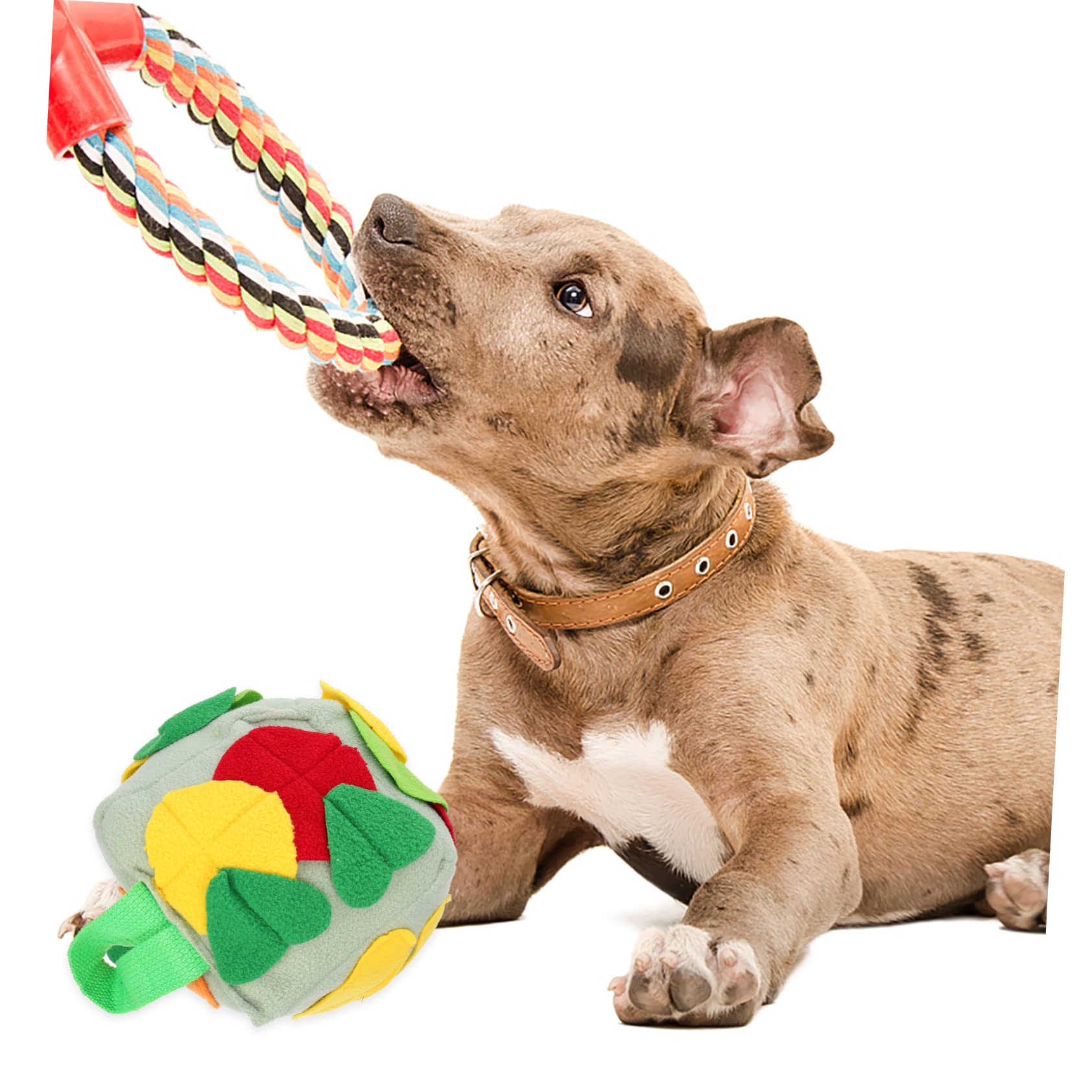 Housoutil 3pezzi Palla Per Cani Snuffle Giocattolo Per Foraging e Addestramento Mat Per Sniffing Con Dispersione Di Cibo Stimola Attività Fisica e Mentale Fresh