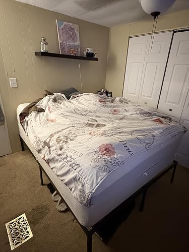 Review Image by nichole h.