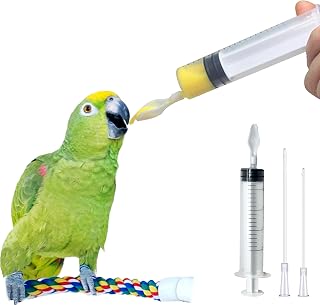 Giiiiump Baby Bird Feeding Syringe with Spoon Tip - Reusable Parrot Feeder for Milk, Water & Liquid Food