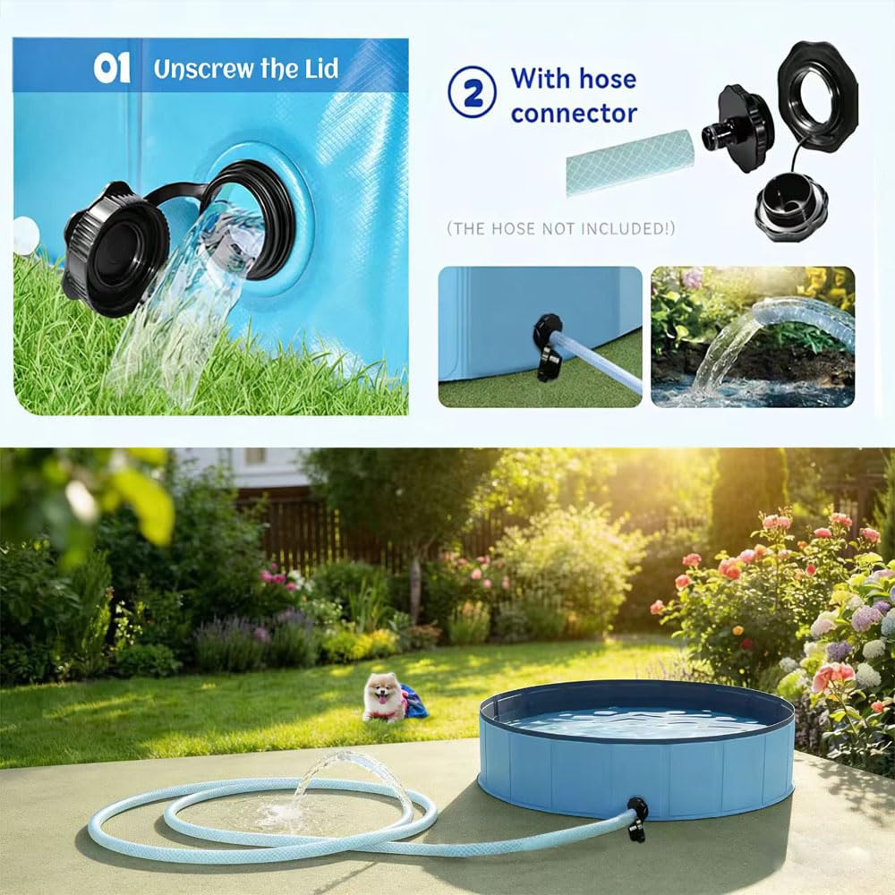 Piscina para perros