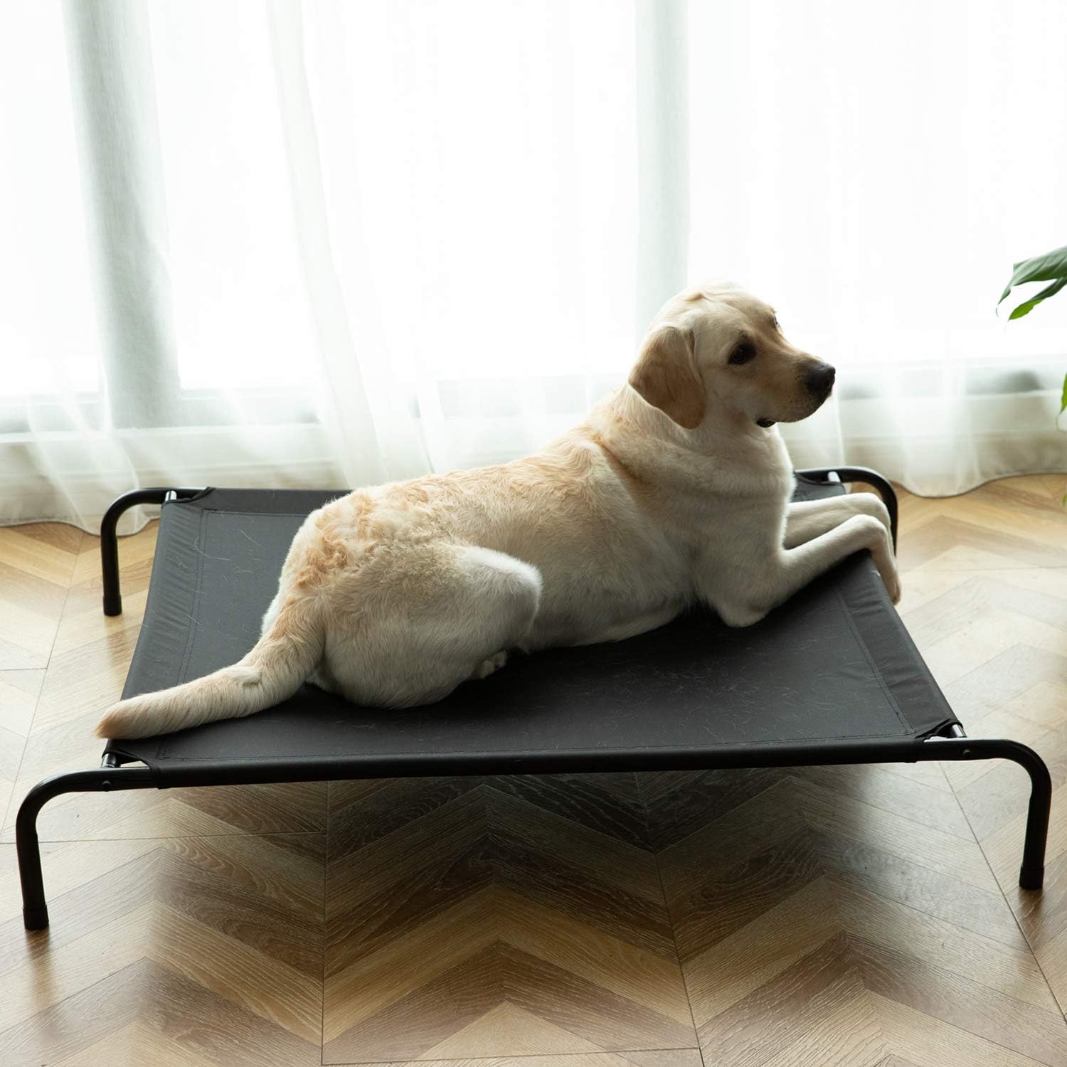 Elevated Dog Cot Bed, Outdoor Dog Bed Large Dogs, Durable Dog Raised Bed 42 INCH