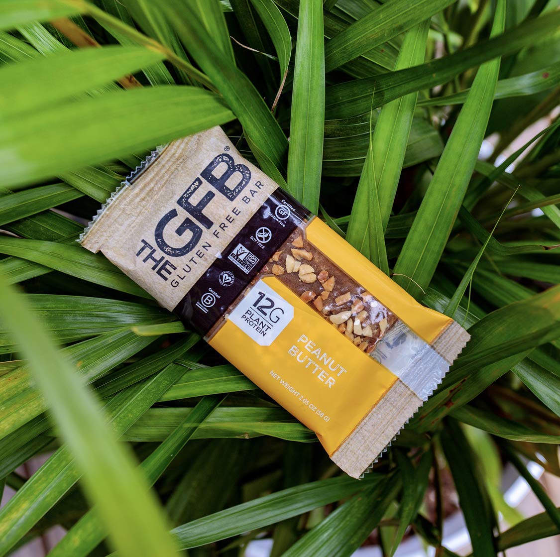 Buy The GFB Gluten Free Protein Bars, Peanut Butter, 2.05 Ounce (Pack