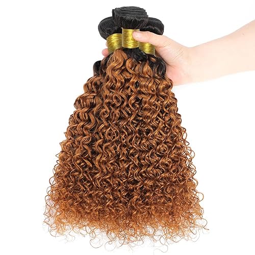 Miniatura 2 de 1B30 - Manojos de cabello humano rizado ombré, color marrón degradado, paquetes de cabello virgen 100% sin procesar, paquetes de cabello Remy