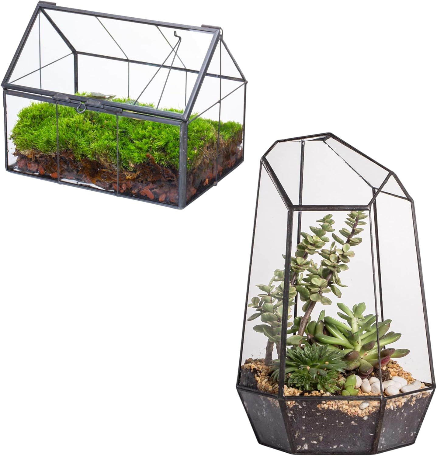 NCYP Mini Glass Terrarium with Lid,and Geometric Irregular Glass Open Terrarium, for Small Cactus, Succulents Plants
