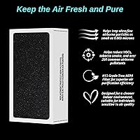 Vista 6 de Filtro HEPA de repuesto con TiO2 para mejorar la calidad del aire, compatible con purificadores de aire Aerus Electrolux Guardian Series
