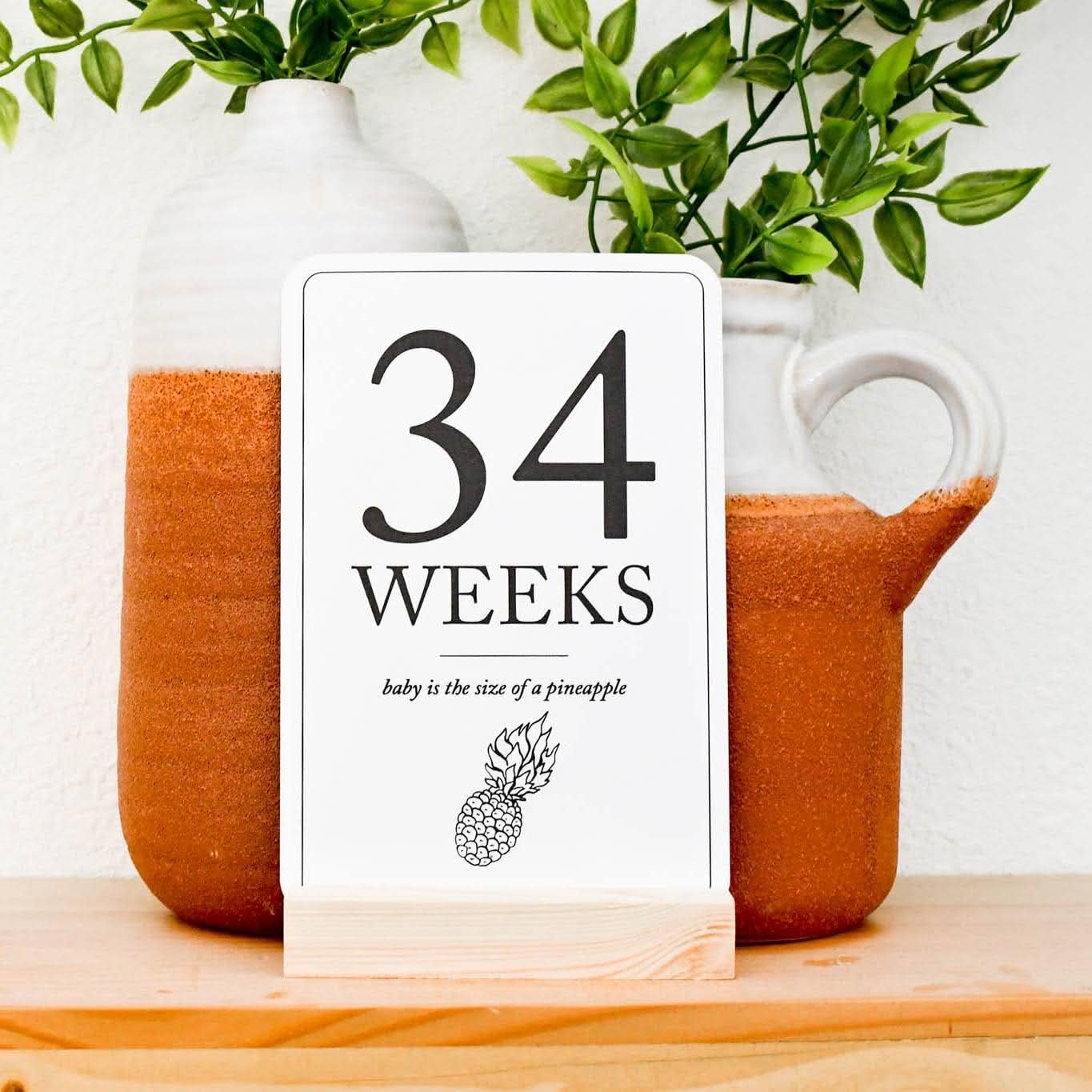 Pregnancy Milestone Cards (19+11) — First Trimester Essentials Announcement Sign - Birth Announcement Cards for New Moms