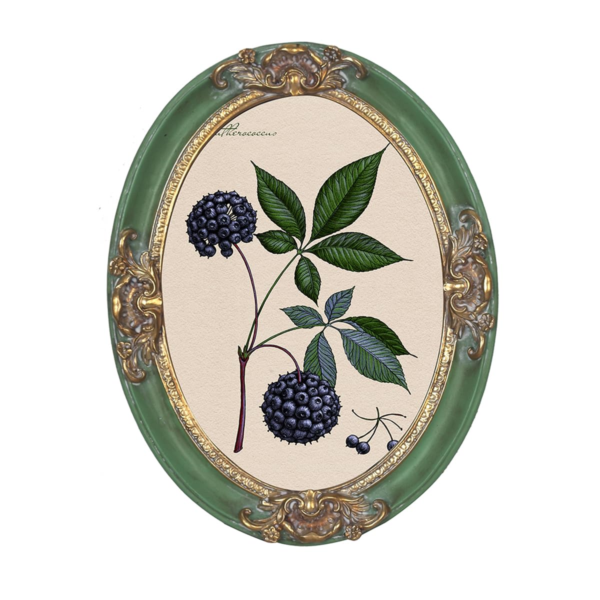 PARAFAYER 5x7 Inch Vintage Oval Picture Frame, Antique Ornate Green Photo Frame With Symmetrical Gilded Floral Decor, Wall Mount and Tabletop Display, High Definition Glass Front, Retro Home Decor Art