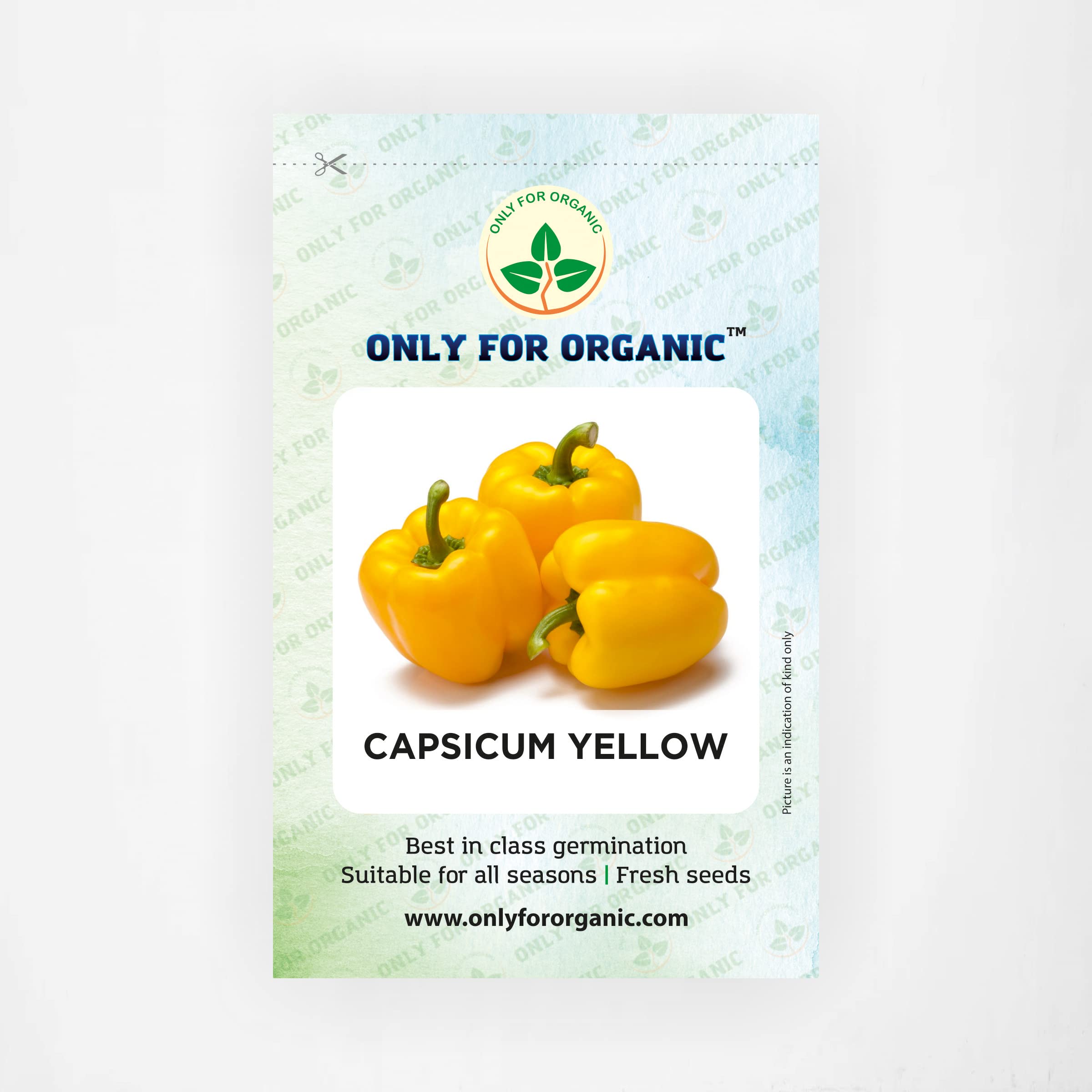 Only For Organic Capsicum yellow Seeds (20 Nos) (B09W9MY8BV) Amazon Price History, Amazon Price Tracker