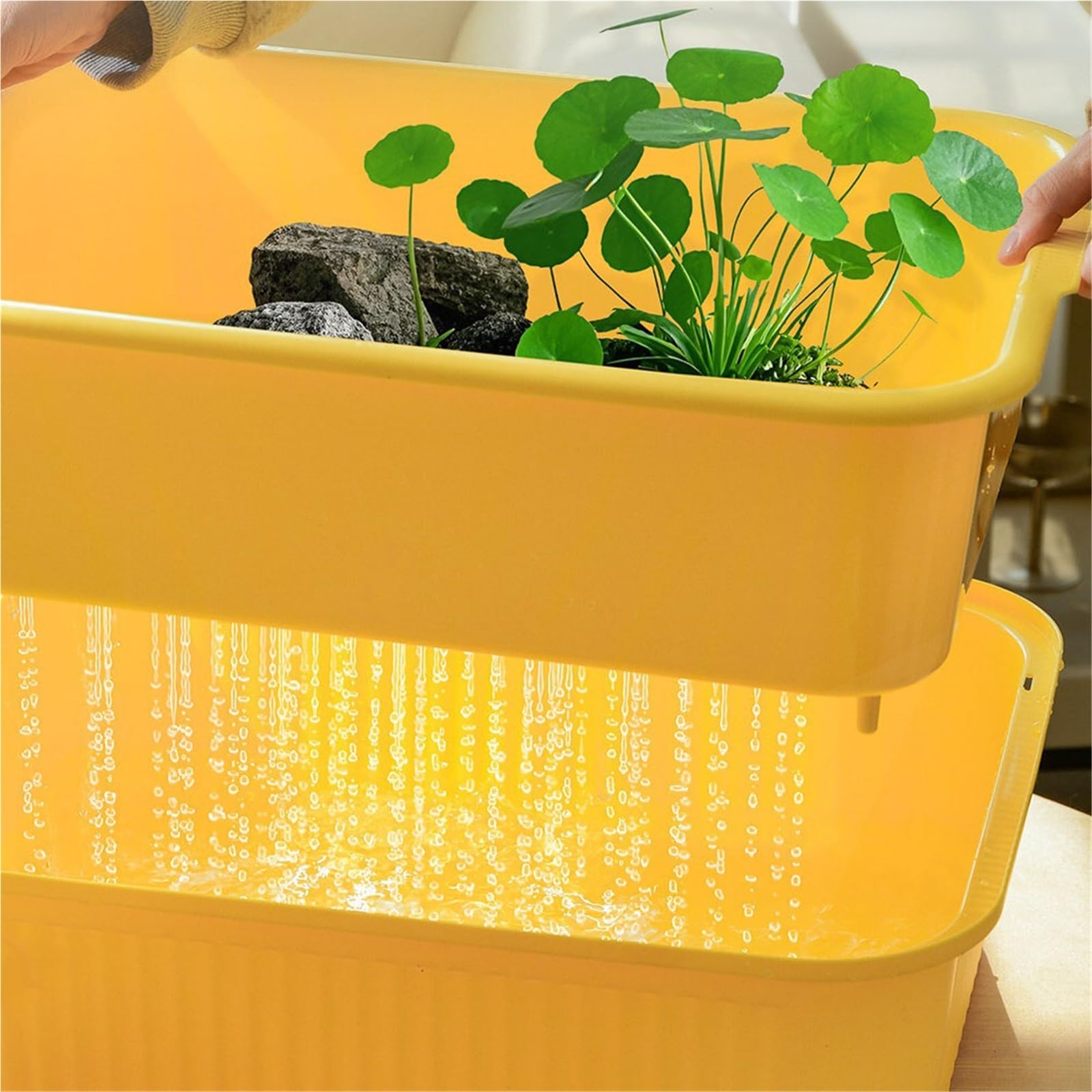 Siedlisko terrarium Zbiornik do karmienia żółwi dwuwarstwowa separacja zielona architektura krajobrazu Terrarium akwariowe(Yellow)